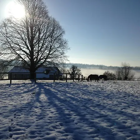La Grange Du Tillieul - Haras De La Varende Дом отдыха *