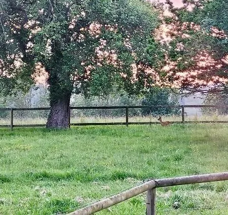 בית נופש La Grange Du Tillieul - Haras De La Varende Le Mesnil-Simon (Calvados)