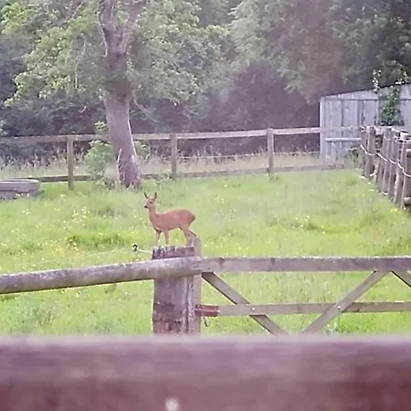 בית נופש La Grange Du Tillieul - Haras De La Varende Le Mesnil-Simon (Calvados)