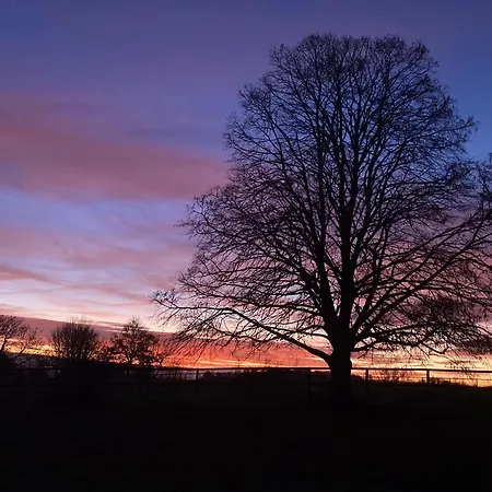 בית נופש La Grange Du Tillieul - Haras De La Varende