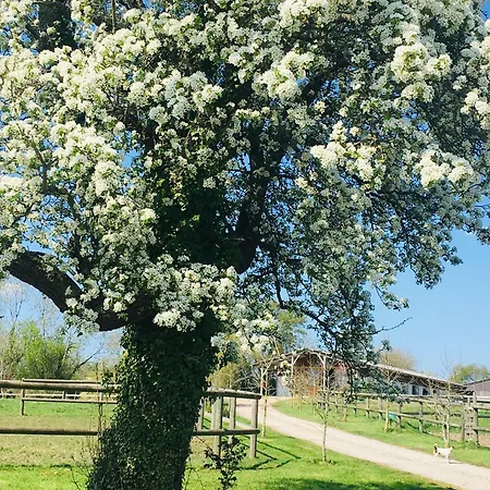 La Grange Du Tillieul - Haras De La Varende Le Mesnil-Simon (Calvados)