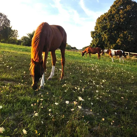 La Grange Du Tillieul - Haras De La Varende בית נופש *
