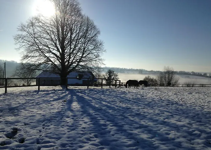 La Grange Du Tillieul - Haras De La Varende Hébergement de vacances *