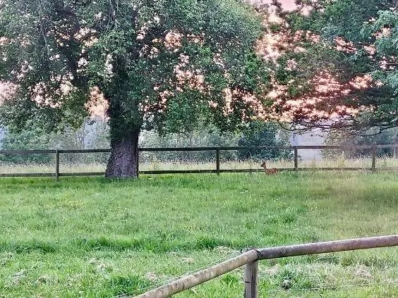 Hébergement de vacances La Grange Du Tillieul - Haras De La Varende Le Mesnil-Simon (Calvados)