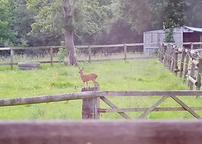 Hébergement de vacances La Grange Du Tillieul - Haras De La Varende Le Mesnil-Simon (Calvados)