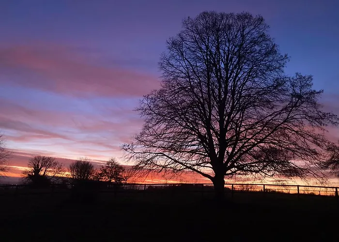 Hébergement de vacances La Grange Du Tillieul - Haras De La Varende