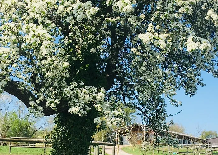 La Grange Du Tillieul - Haras De La Varende Le Mesnil-Simon (Calvados)