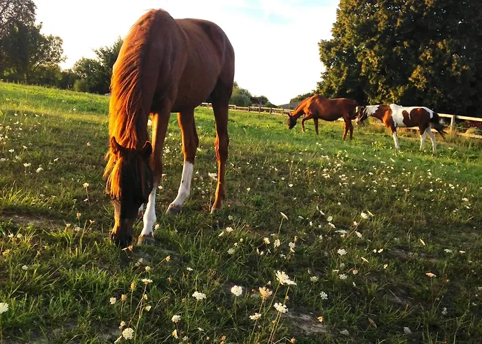 La Grange Du Tillieul - Haras De La Varende Дом отдыха *